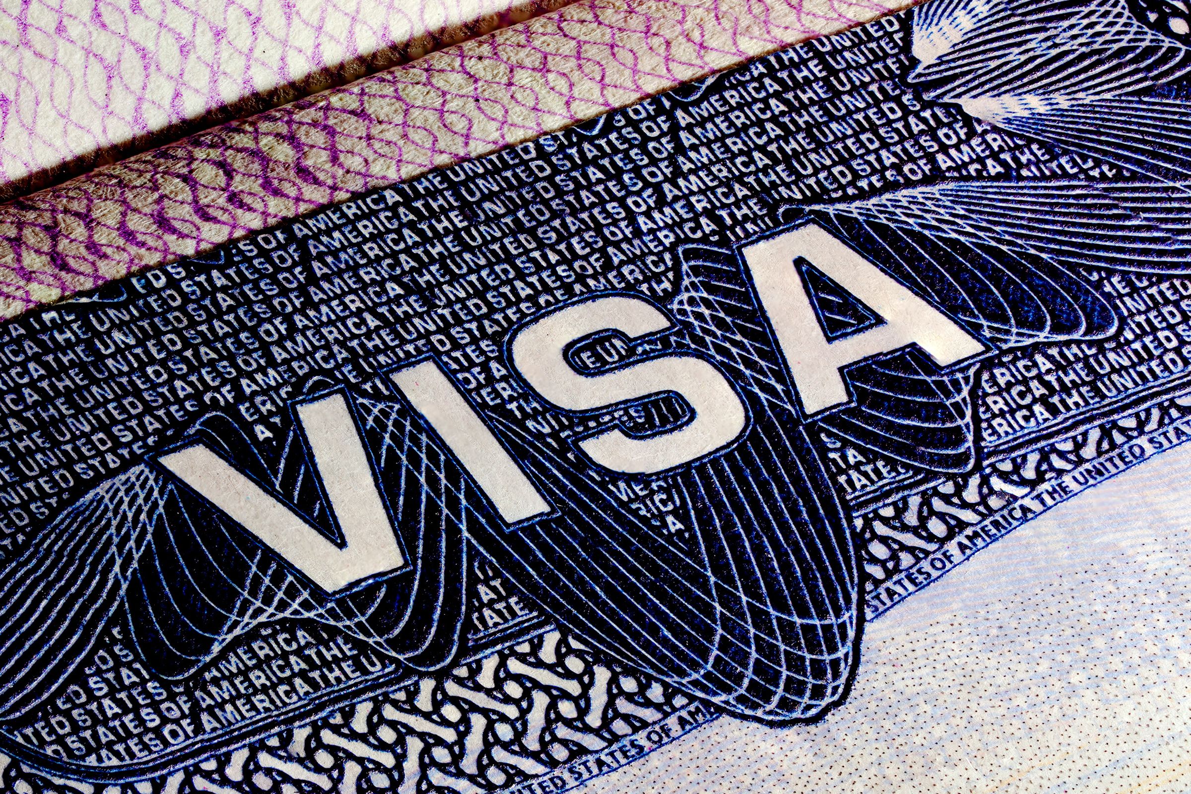 visa services